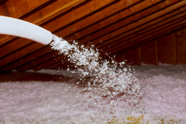 Best Specialized Insulation Services in Waterloo, IL