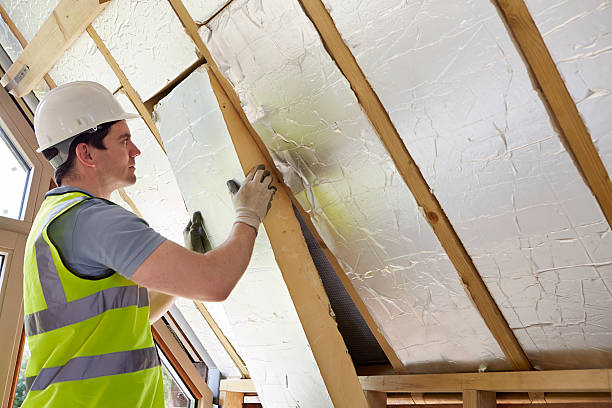 Best Eco-Friendly Insulation in Waterloo, IL